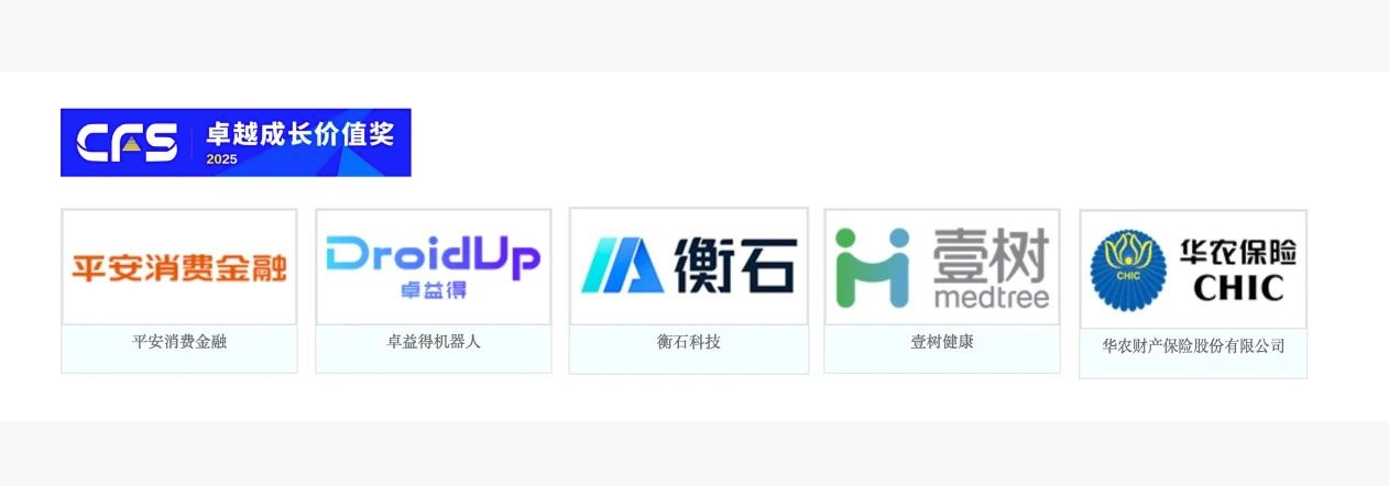 CFS第十四届财经峰会完美落幕，衡石科技斩获双奖(图2)
